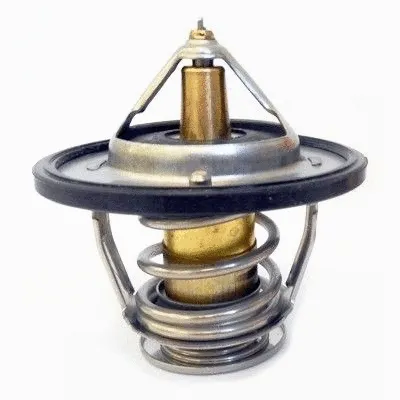 Thermostat, coolant (WG1749704)