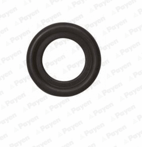 Seal Ring, oil drain plug (WG2046659)