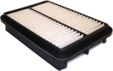 Air Filter (WG1747502)