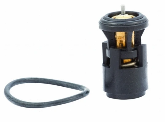 Thermostat, coolant (WG1409277)