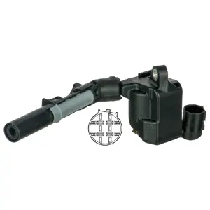 Ignition Coil (WG1821391)