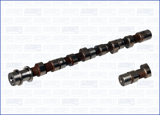 Camshaft (WG1170919)