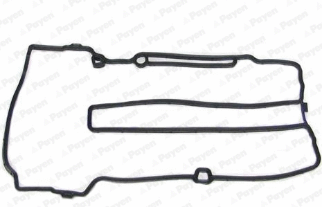Gasket, cylinder head cover (WG2202428)