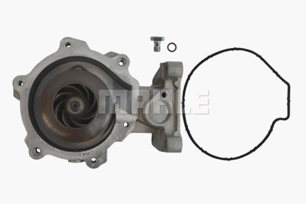 Water Pump, engine cooling (WG2181538)