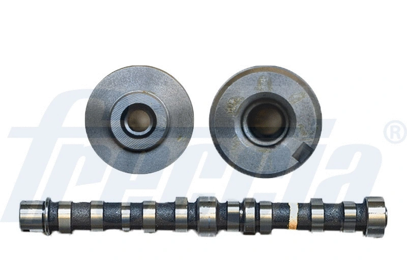 Camshaft (WG1779065)