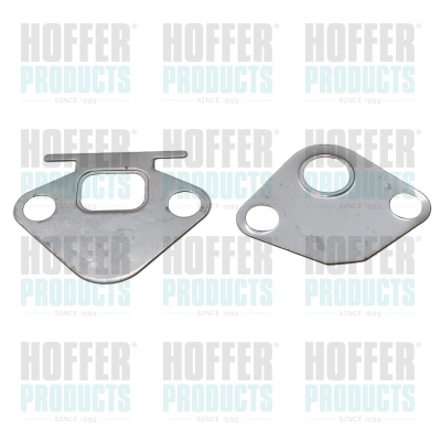 Gasket, EGR valve (WG2262105)
