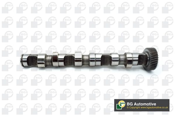 Camshaft (WG1490479)