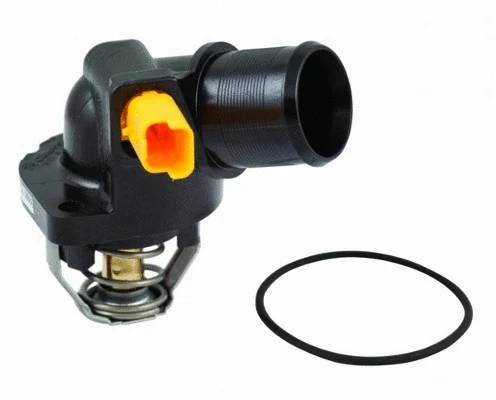 Thermostat, coolant (WG1409463)