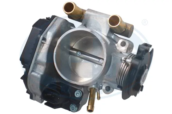 Throttle Body (WG1796582)