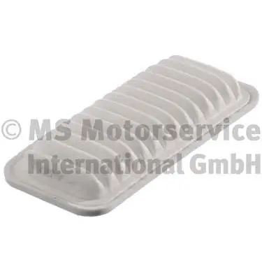 Air Filter (WG1019161)