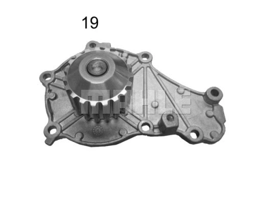 Water Pump, engine cooling (WG2182093)