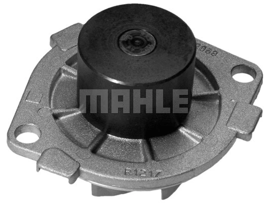 Water Pump, engine cooling (WG2181718)