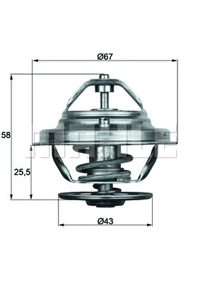 Thermostat, coolant (WG1262707)