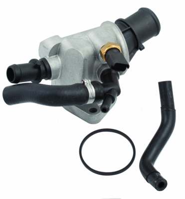 Thermostat, coolant (WG1409392)