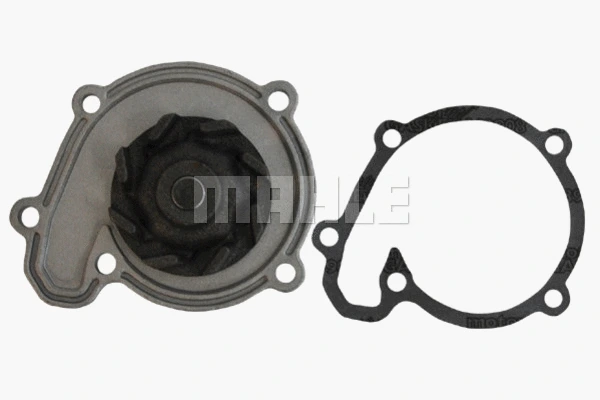 Water Pump, engine cooling (WG2181462)