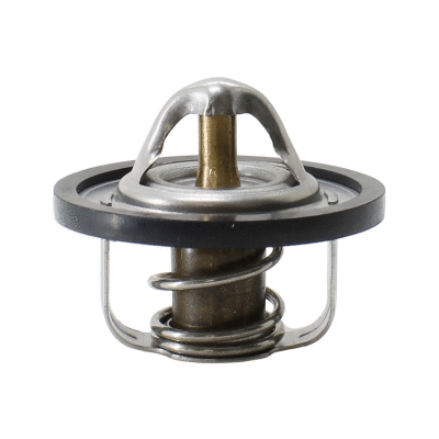 Thermostat, coolant (WG2263222)