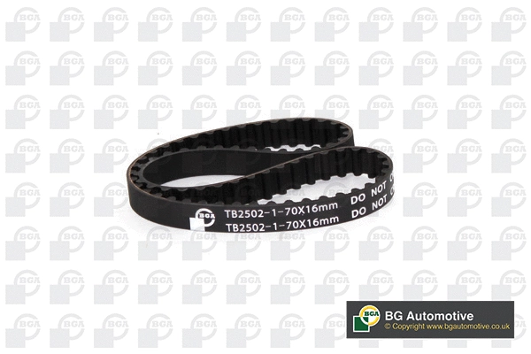 Timing Belt (WG2258633)