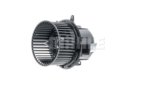 Interior Blower