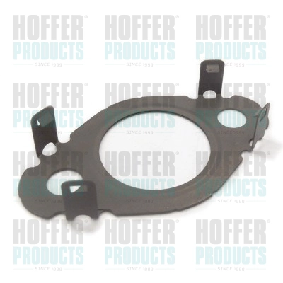 Gasket, EGR valve (WG2262120)