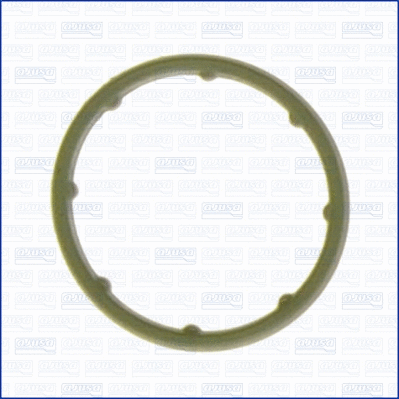 Gasket, oil cooler (WG1448150)