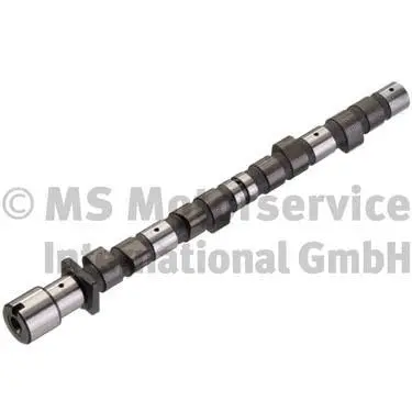 Camshaft (WG1017583)