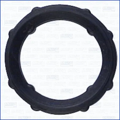 Gasket, timing case (WG1448697)