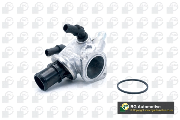 Thermostat, coolant (WG1760670)