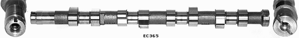 Camshaft (WG1051419)