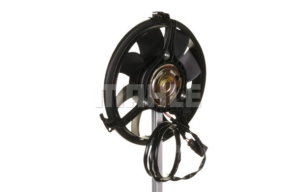 Fan, engine cooling