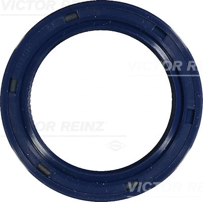 Shaft Seal, camshaft (WG1250598)