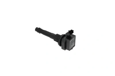 Ignition Coil (WG1487481)