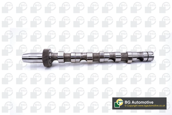 Camshaft (WG1490420)