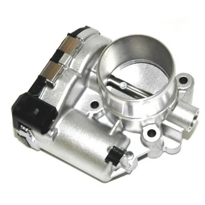Throttle Body (WG1013600)