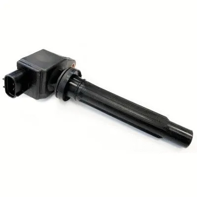 Ignition Coil (WG1408877)