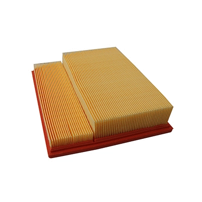 Air Filter (WG2152070)