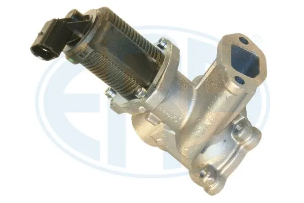 EGR Valve (WG1494484)