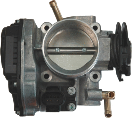 Throttle Body (WG1013481)