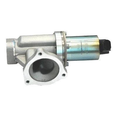 EGR Valve (WG1015285)