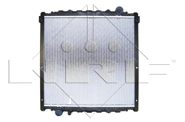Radiator, engine cooling (WG1721646)