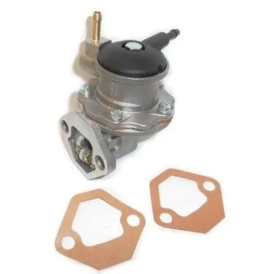 Fuel Pump (WG1750034)