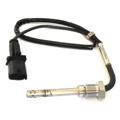 Sensor, exhaust gas temperature (WG1015020)