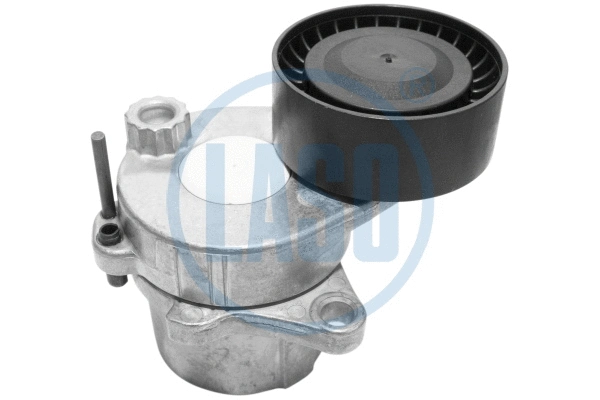 Belt Tensioner, V-ribbed belt (WG1804350)