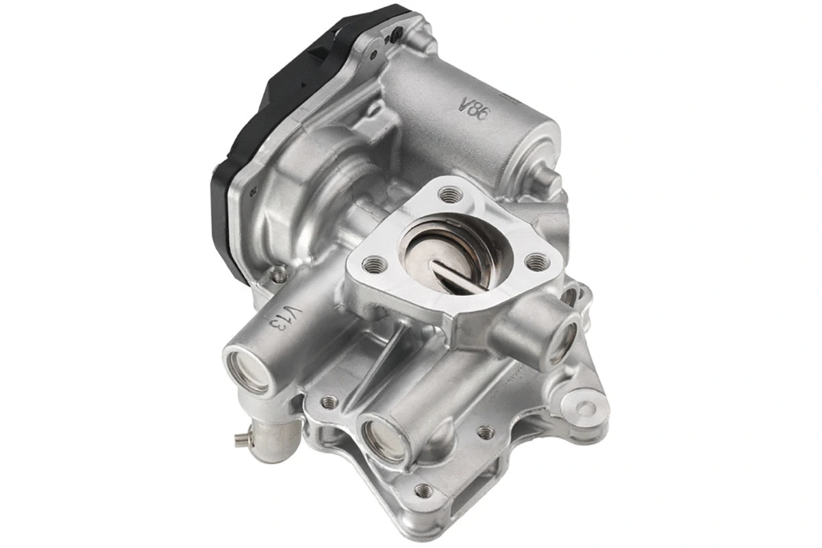 EGR Valve (WG1032668)