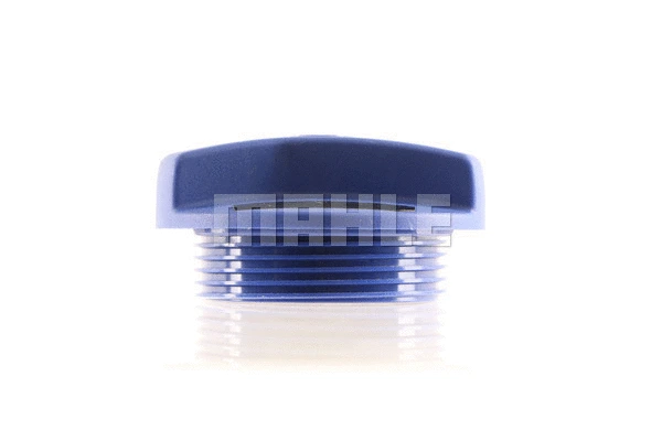 Cap, coolant tank
