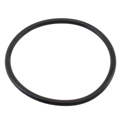 Seal, thermostat (WG2196049)