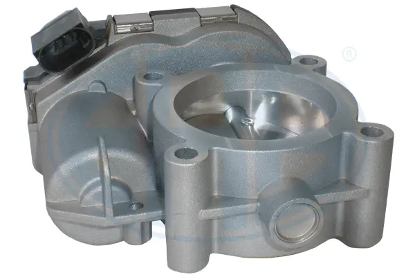 Throttle Body (WG1796573)