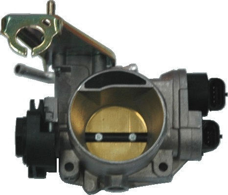 Throttle Body (WG1013538)