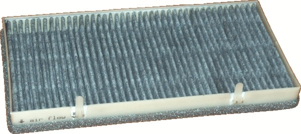 Filter, cabin air (WG1747222)