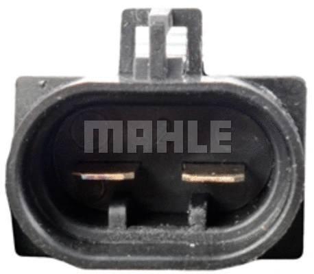 Fan, engine cooling (WG2180719)