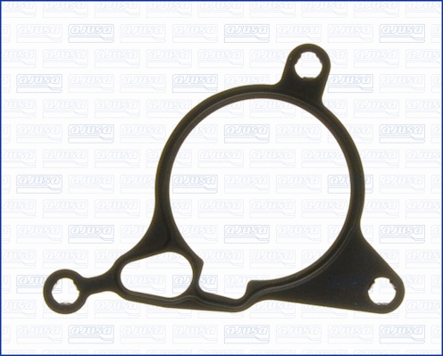 Gasket, vacuum pump (WG1448706)